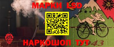 гидра Пыть-Ях