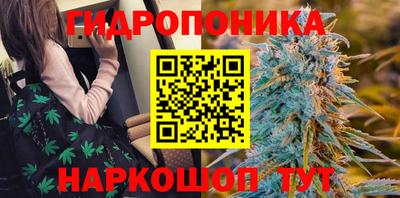 гидра Пыть-Ях